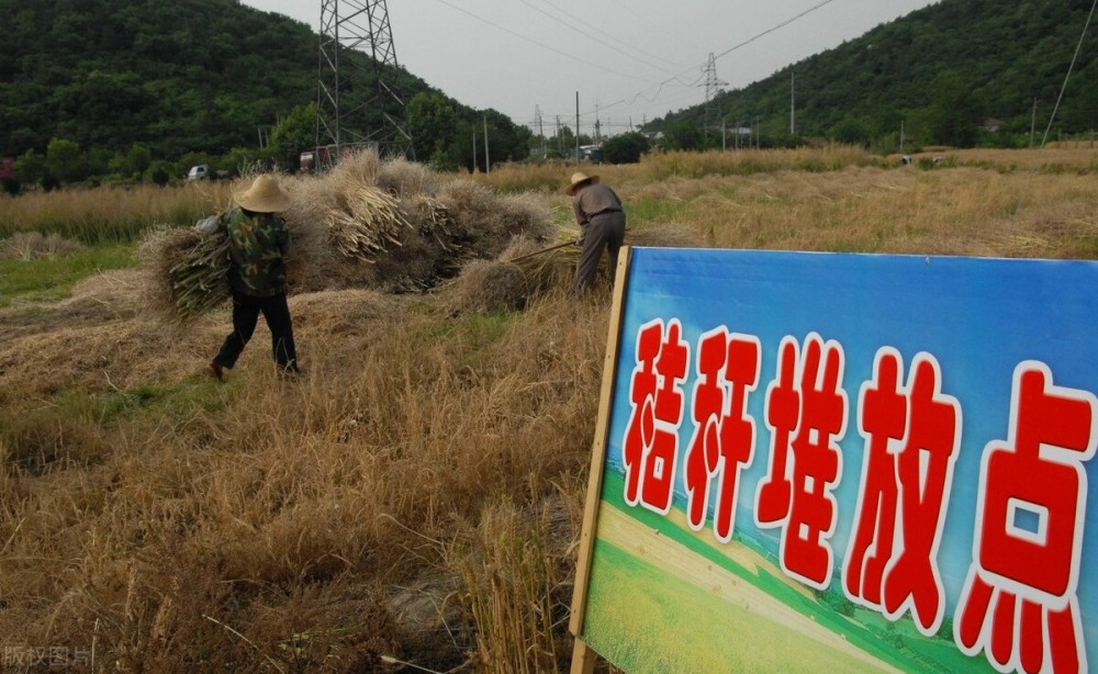 一刀切禁烧秸秆是折腾农民引发媒体热议