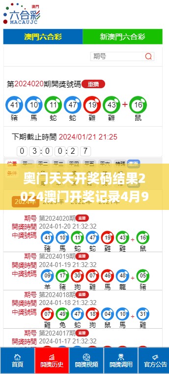 奥门天天开奖码结果2024澳门开奖记录4月9日,全面解析解答解释计划_弹性集2.256