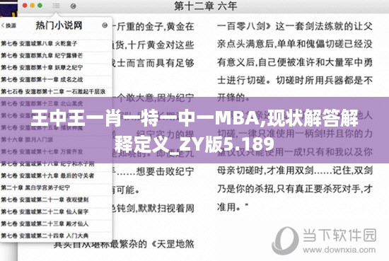 王中王一肖一特一中一MBA,现状解答解释定义_ZY版5.189