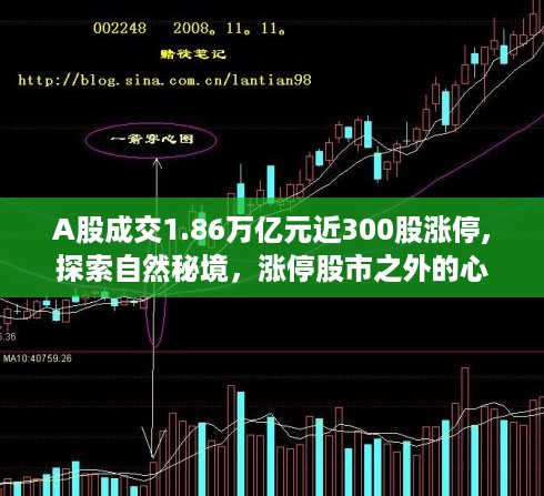 探索自然秘境与股市繁荣，A股成交破万亿元背后的心灵之旅