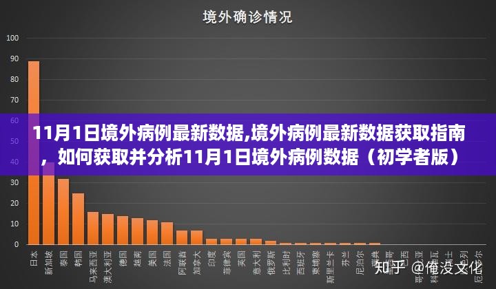 11月1日境外病例数据解析指南，获取与分析初学者必备