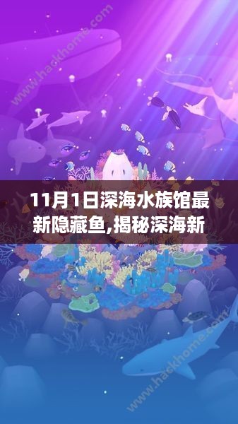 揭秘深海水族馆最新隐藏鱼，探索深海新篇章，舞动自信与成就感的探索之旅