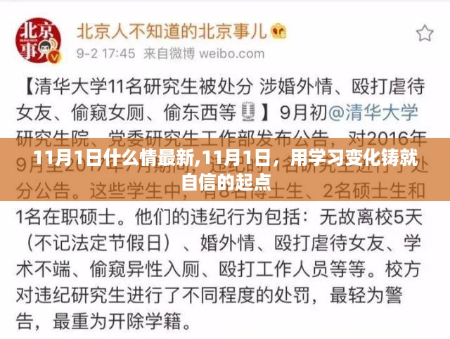 11月1日，学习变化铸就自信的起点，掌握最新动态与自我成长之路