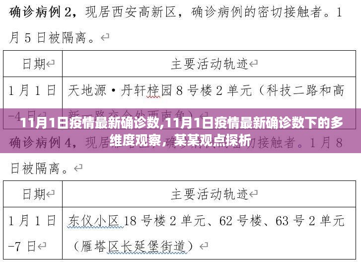 疫情最新动态，多维度观察下的确诊数及某某观点探析（截至11月1日）