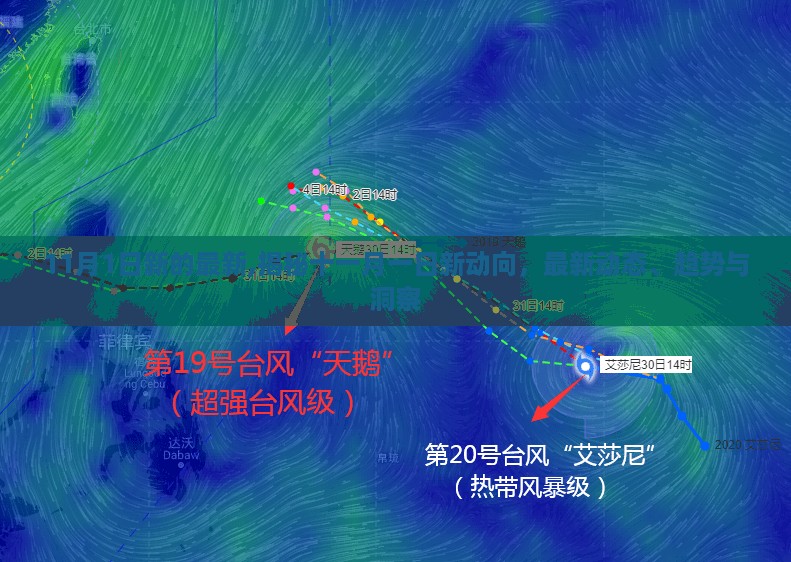 揭秘十一月一日新动向，最新动态、趋势与洞察速递