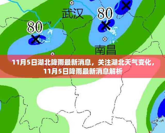 湖北降雨最新消息，关注天气变化，11月5日降雨解析报告