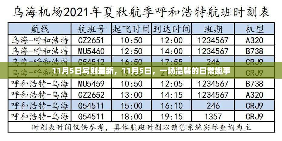 11月5日温馨日常趣事回顾