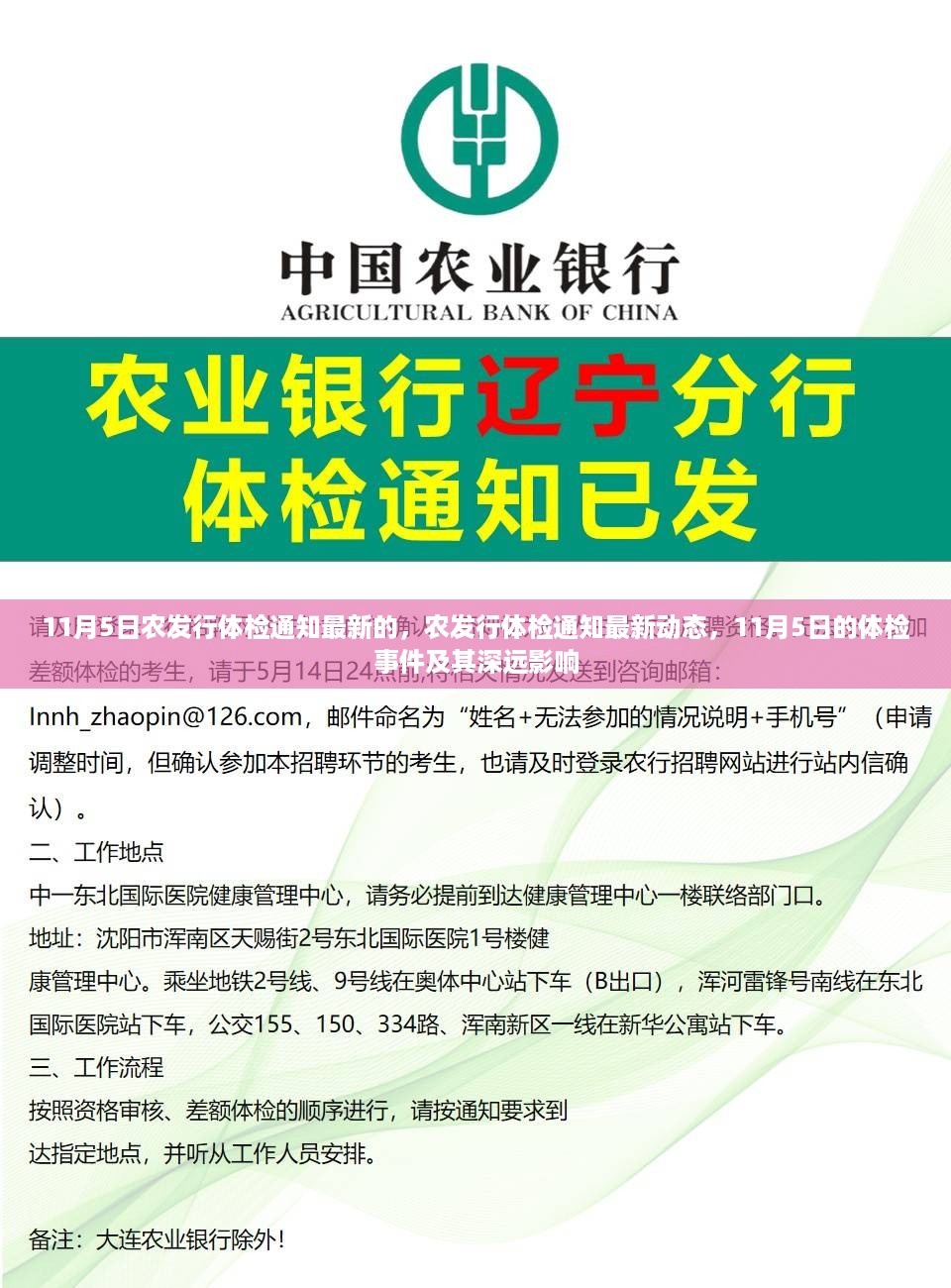 农发行体检通知最新动态及深远影响，聚焦11月5日事件回顾与解读