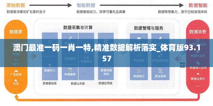 澳门最准一码一肖一特,精准数据解析落实_体育版93.157