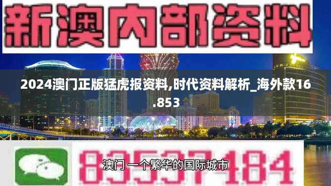 2024澳门正版猛虎报资料,时代资料解析_海外款16.853