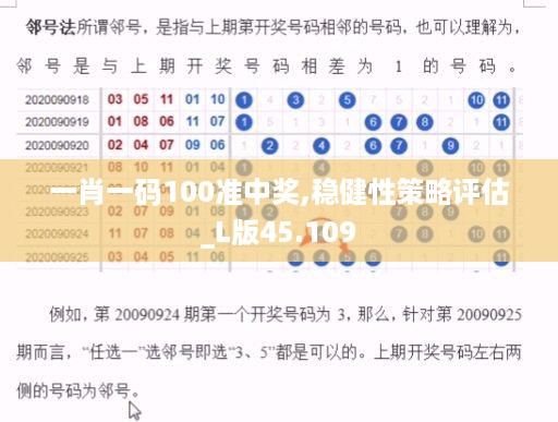 一肖一码100准中奖,稳健性策略评估_L版45.109