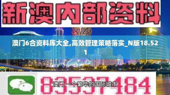 澳门6合资料库大全,高效管理策略落实_N版18.521