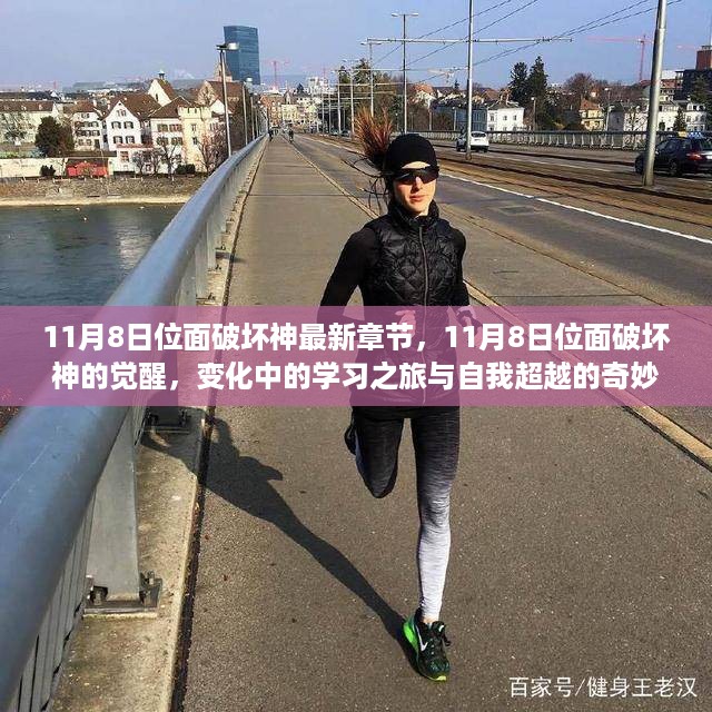 11月8日位面破坏神的觉醒，奇妙冒险与自我超越的学习之旅