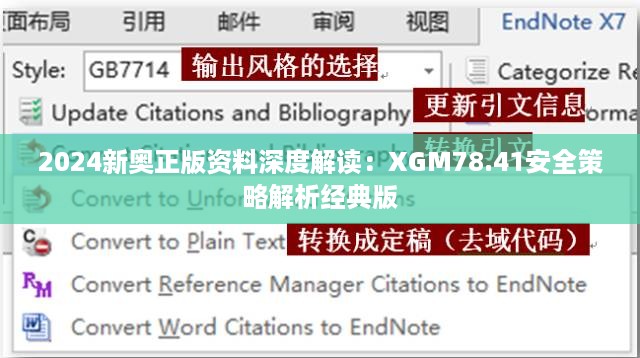 2024新奥正版资料深度解读：XGM78.41安全策略解析经典版