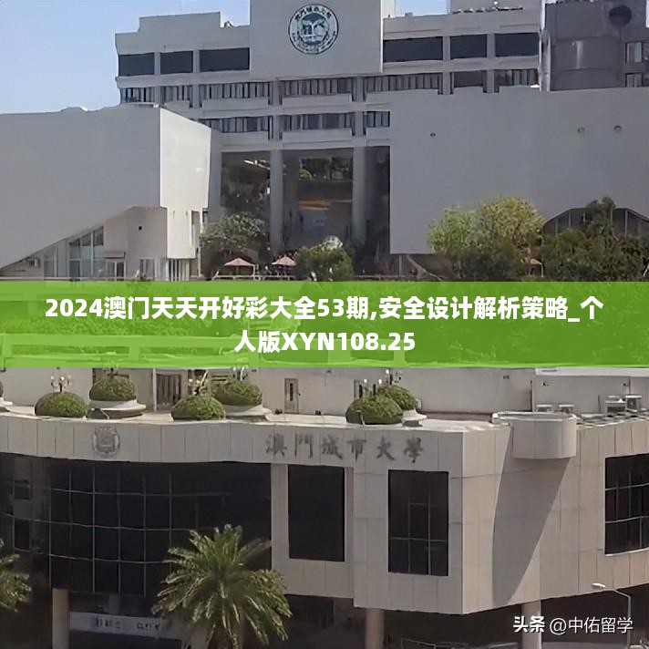 2024澳门天天开好彩大全53期,安全设计解析策略_个人版XYN108.25