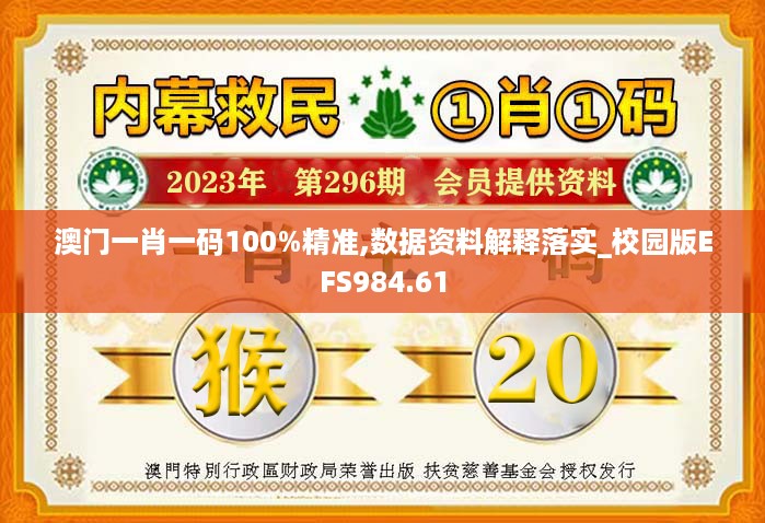 澳门一肖一码100%精准,数据资料解释落实_校园版EFS984.61