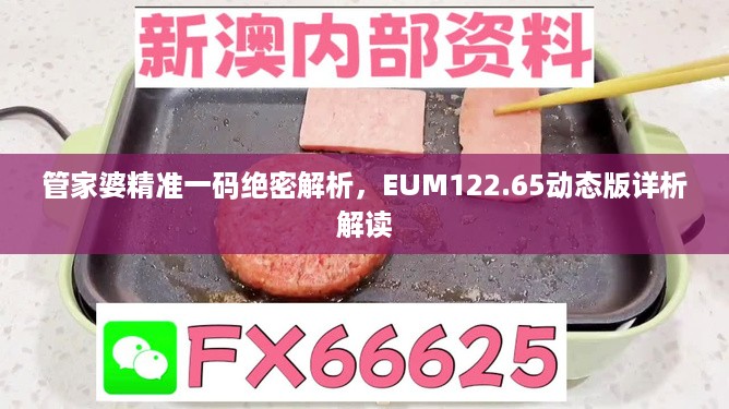 管家婆精准一码绝密解析，EUM122.65动态版详析解读