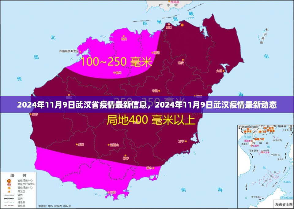 2024年11月9日武汉疫情最新信息及动态