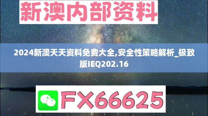 2024新澳天天资料免费大全,安全性策略解析_极致版IEQ202.16