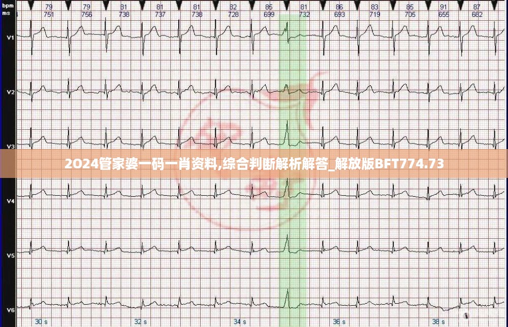 2O24管家婆一码一肖资料,综合判断解析解答_解放版BFT774.73