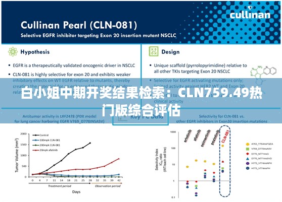 白小姐中期开奖结果检索：CLN759.49热门版综合评估