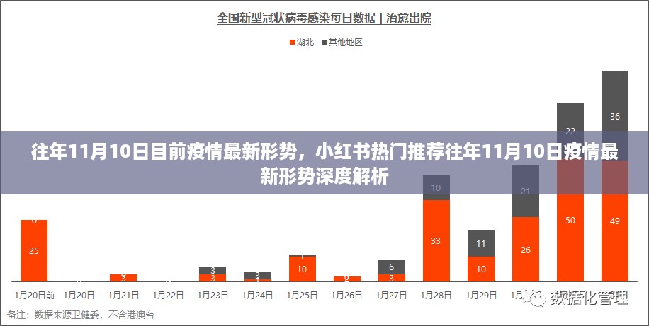 小红书热门推荐，往年11月10日疫情最新形势深度解析与观察