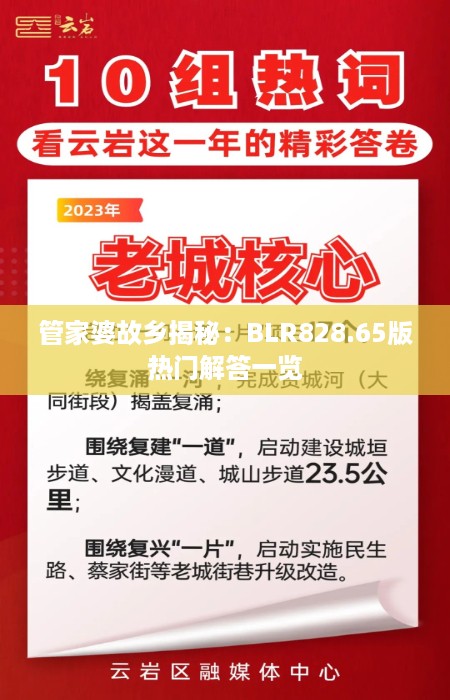 管家婆故乡揭秘：BLR828.65版热门解答一览