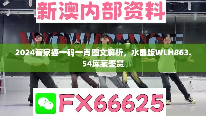 2024管家婆一码一肖图文解析，水晶版WLH863.54库藏鉴赏