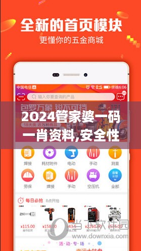 2O24管家婆一码一肖资料,安全性策略解析_速达版145.75