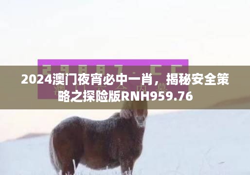 2024澳门夜宵必中一肖，揭秘安全策略之探险版RNH959.76