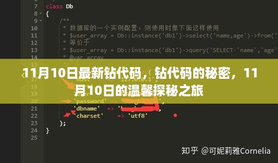 揭秘最新钻代码，11月10日的温馨探秘之旅