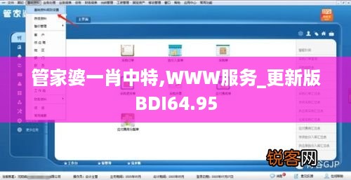 管家婆一肖中特,WWW服务_更新版BDI64.95