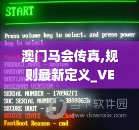 澳门马会传真,规则最新定义_VEC269.66血脉变