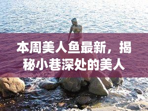 揭秘小巷深处的美人鱼特色店，一场奇幻之旅本周更新回顾