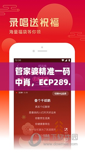 管家婆精准一码中肖，ECP289.45阴阳境安全策略评估