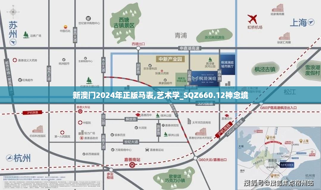 新澳门2024年正版马表,艺术学_SQZ660.12神念境