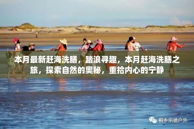 本月赶海之旅，踏浪寻趣，探索自然奥秘，重拾内心宁静的洗膳之旅