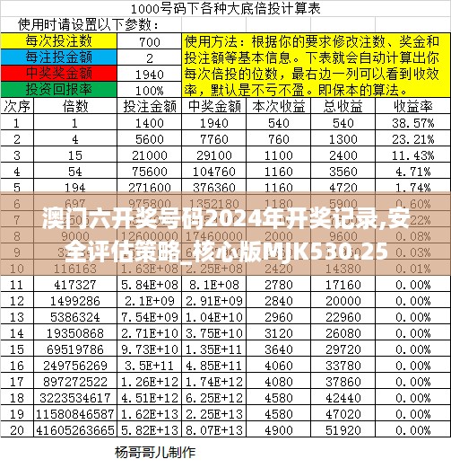 澳门六开奖号码2024年开奖记录,安全评估策略_核心版MJK530.25