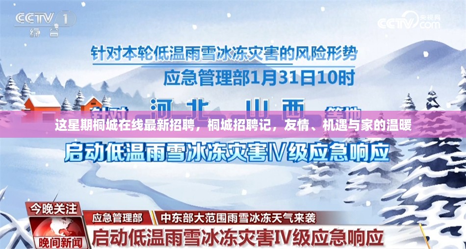 桐城在线招聘周记，友情、机遇与家的温暖，最新职位发布