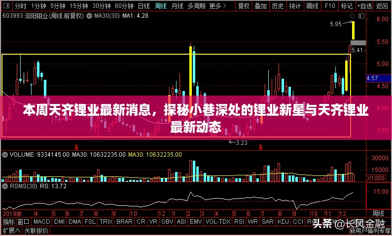 天齐锂业最新动态揭秘，小巷深处的锂业新星本周消息一览