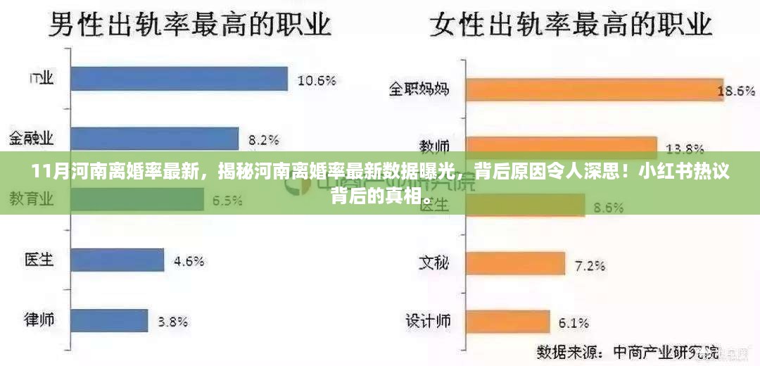 河南离婚率最新数据曝光，背后的原因引发深思，小红书热议真相揭秘