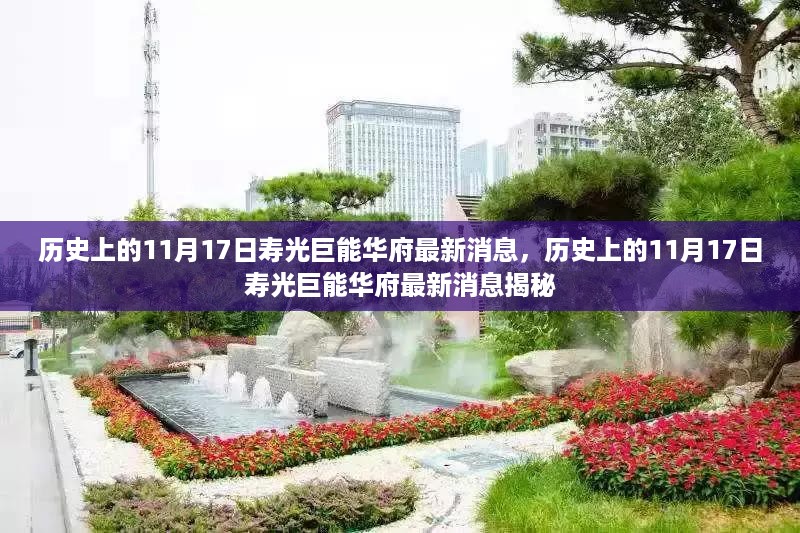 历史上的11月17日寿光巨能华府最新消息揭秘，深度探索与报道