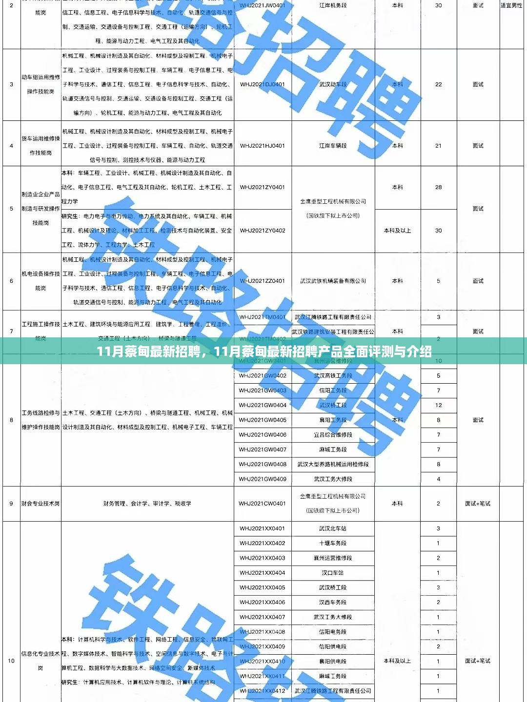 11月蔡甸最新招聘产品全面评测与介绍