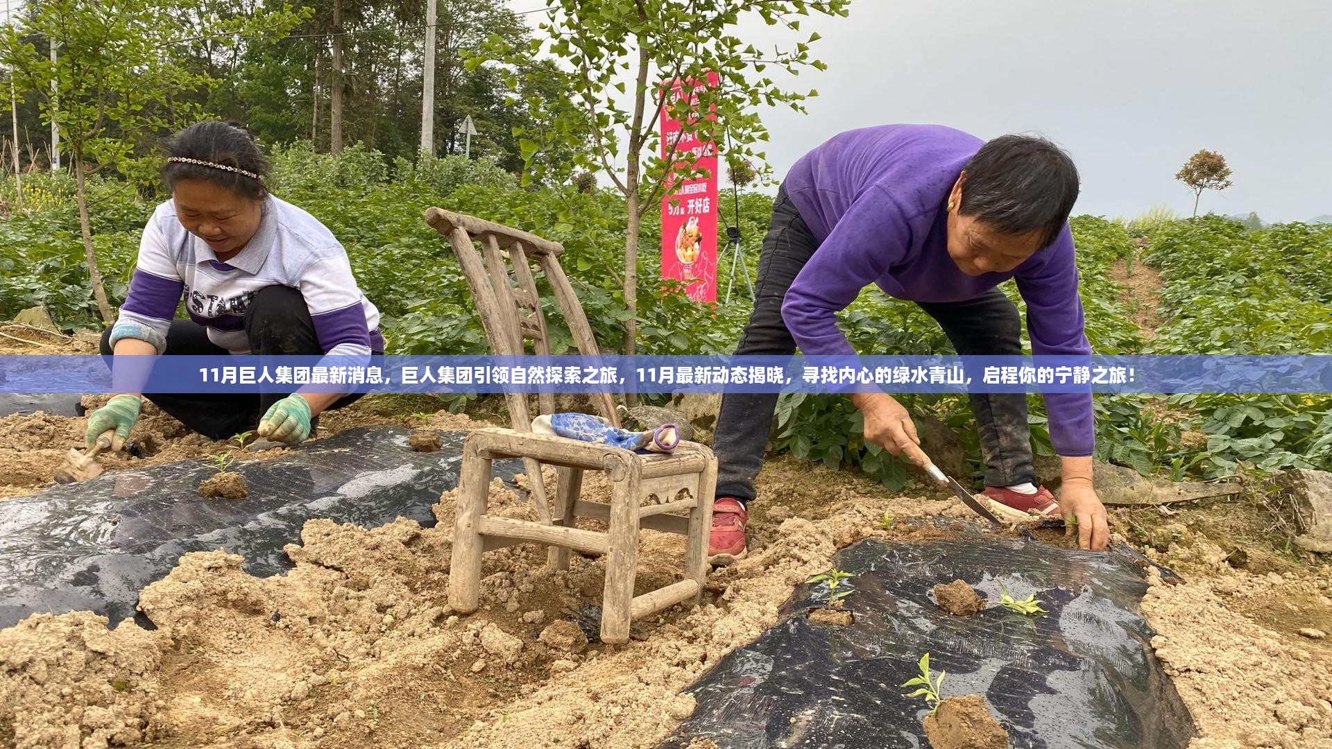 巨人集团11月最新动态，引领自然探索之旅，启程寻找内心的绿水青山