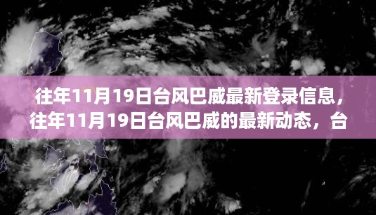 往年11月19日台风巴威最新登录动态与全面解析