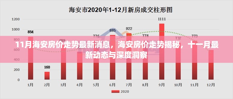 海安房价走势揭秘，十一月最新动态与深度洞察，最新房价走势消息速递