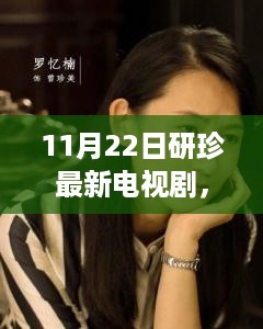 11月22日研珍最新电视剧观看指南，从入门到精彩，全攻略分享