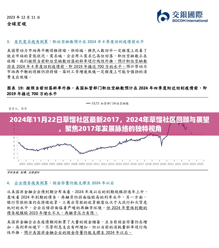 草馏社区回顾与展望，聚焦独特视角，展望未来发展脉络