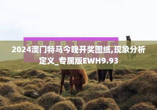 2024澳门特马今晚开奖图纸,现象分析定义_专属版EWH9.93