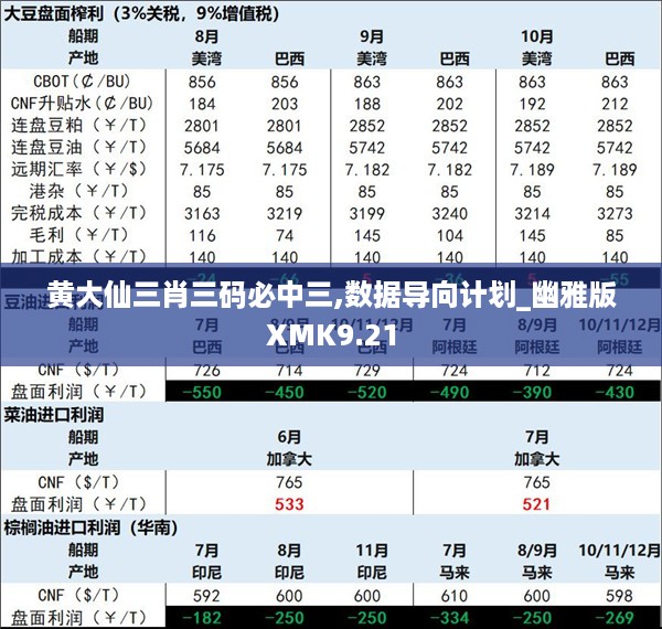 黄大仙三肖三码必中三,数据导向计划_幽雅版XMK9.21